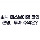 소닉 이미지