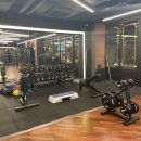 자마이카 짐 이미지