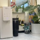 도그드살롱 이미지