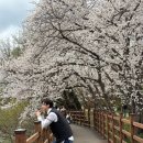 엔젤리너스 진주금호못점 이미지