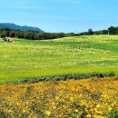 나무여행 이미지