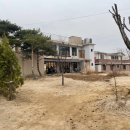 신샘밭로 이미지