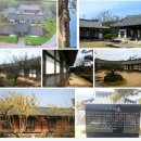 노이민박 이미지