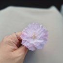 꾀꼬리봉 화장실 이미지