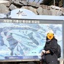 기룡산 등산로2 네이버블로그
