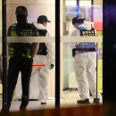 분당분당-A-20 이미지