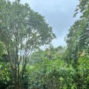 그림상회 스테이 이미지