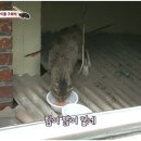 재수농장 이미지