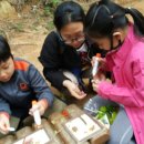 도토리숲속학교 이미지