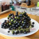 토마루농장 이미지