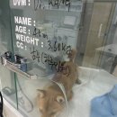 동물병원 더 메이 이미지