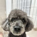 동근목장 네이버블로그