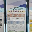 한신스포렉스 | 중랑문화체육관] 오전 수영반 첫 수업 후기(중곡스포렉스와 장단점 비교/수강신청 기간/초급반/ 자유...