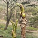 원순농장 이미지