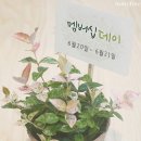 이니스프리이마트 - 서귀포시 일주동로 9209 | 이니스프리이마트
