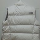 황금조끼 Daum카페