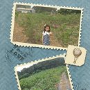 시현농장 이미지