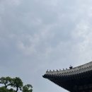 햇살다과 - 동작구 노량진로 10 | 2025 창덕궁 약다방 궁중 다과 체험 후기🍵💛 호박란 배란 오미자차