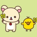 덕성여대점 이미지