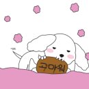 프리티파우 이미지