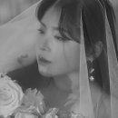 전보미 카카오 검색결과