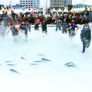 방어축제거리 이미지