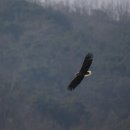 고령식당 이미지