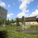 세종대학교박물관 이미지