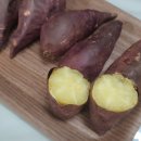 꿀밤농장 이미지