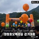 (주)대청에너지 | 참가비 2천원?! 2025 대청호 오백리길 걷기대회 10키로 후기