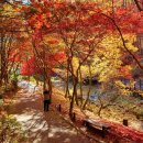 봉학골산림욕장 이미지