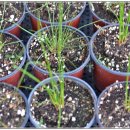 순창농장 이미지