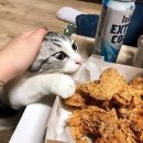 겨울왕국PC방 이미지