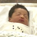 산본유치원 | 산본제일병원 브이백 출산비용, 3박4일 입원후기