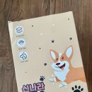 신나라신발