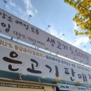 노마진광주