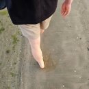 옛날추어탕 일광점 | [주간 일기] 시원한 바람결에 좋은 소식이 불어오길