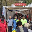 진안홍삼 이미지