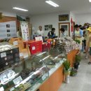 장흥 관광안내소 이미지