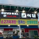 동갈보대 이미지