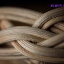 나인렌터카 네이버블로그