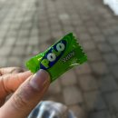 선유가츠 | 선유도 돈까스 맛집 가성비 괜찮은 선유가츠 내돈내산후기