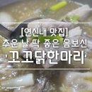 꼬꼬닭/안녕닭 이미지