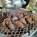 예박사