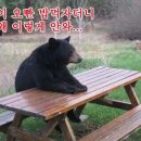 파랑