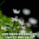 좋은생각