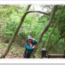 외연도5 이미지