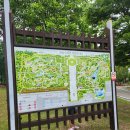대전 한밭수목원 동원 산책 후기｜열대식물원부터 장미원까지 아이와 가볼만한곳