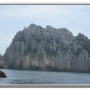 백도겸 카카오 검색결과