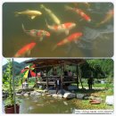 동희농장 이미지